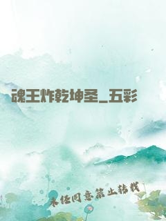 陣魂王炸乾坤圣
